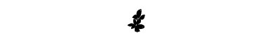 inlimg_370_kaisetsu_sozai_1004.jpg