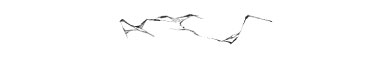 inlimg_370_kaisetsu_sozai_1066.jpg
