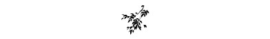 inlimg_370_kaisetsu_sozai_1159_1.jpg